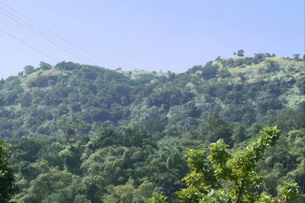 Hilltop Table Land Farmhouse Vacation Home Plots For Sale At Panshet